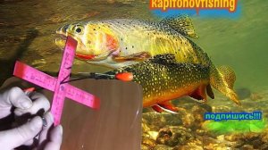Эффективная снасть для ловли форели #Поставушка
