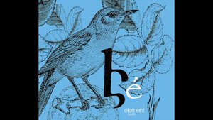 Element Band - Amran Kisher // Էլէմենթ Պէնտ - Ամռան Գիշեր