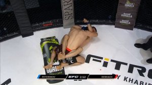 Александр Деркач vs Олег Петеримов | EAGLE FC 36