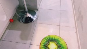 БАСЕНДЖИ УЧИТ ПЕРВЫЕ КОМАНДЫ