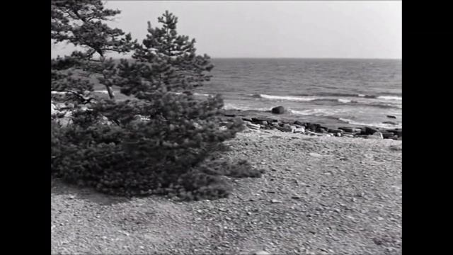 Cinematography of Persona (1966) - Ingmar Bergman's Masterpiece смотреть онлайн
