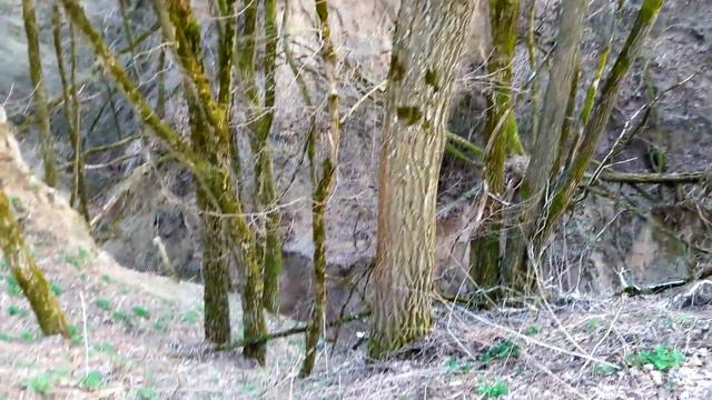 Збраньки, Овручский район, Житомирская область. смотреть онлайн