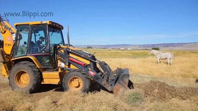 Blippi Blippi Visits A Construction Site! | Construction Vehicles For Children | Blippi Excavator