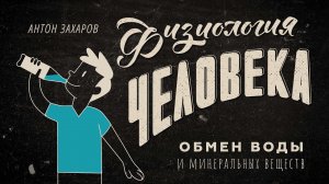 Надо ли пить 2 литра воды в день? Обмен воды и минеральных веществ. Физиология человека — урок 22