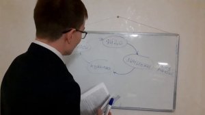 Как быстро размножаются городские (подвальные) комары