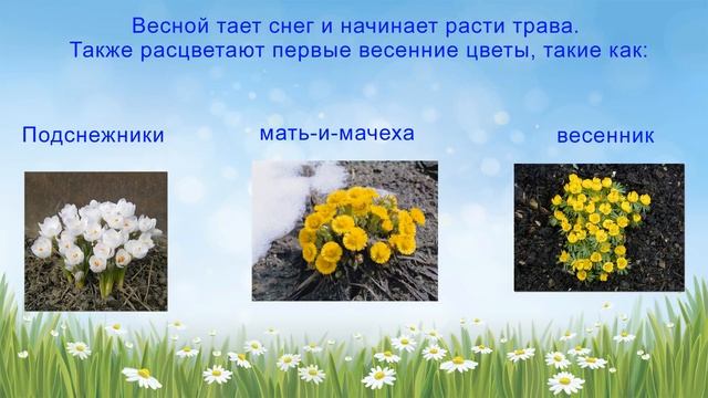 Презентация весна для дошкольников смотреть онлайн