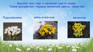 Презентация весна для дошкольников
