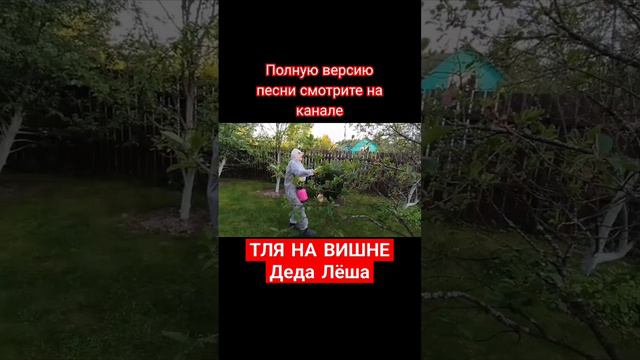 У деда беда-на вишню напала тля#песня#песни#смешноевидео#funnyvideo#смешнаяпесня#музыка made by suno