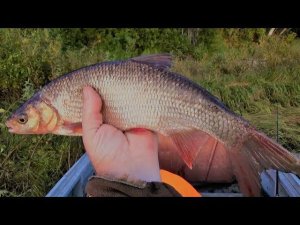 05.09.19 \ ПРОВЕРКА ПРОДОЛЬНИКОВ \ ОКУНЬ НА УДОЧКУ