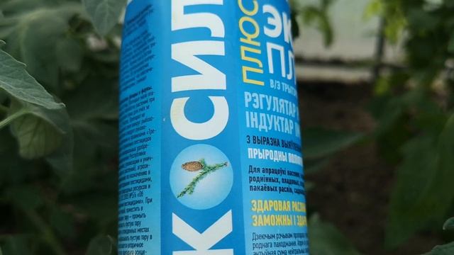 НАТУРАЛЬНАЯ ПОДКОРМКА ТОМАТОВ. смотреть онлайн