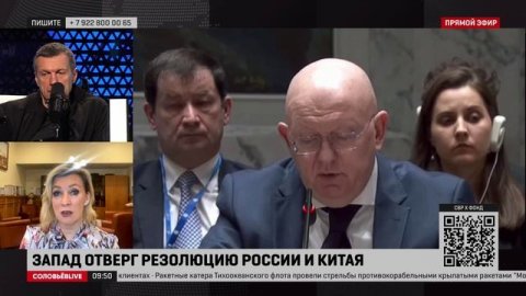 Захарова рассказала о поведении представителя США в Совбезе ООН