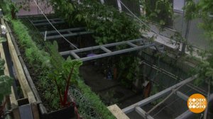 Биовегетарий: вырастет все! Доброе утро. Фрагмент выпуска от 26.02.2021