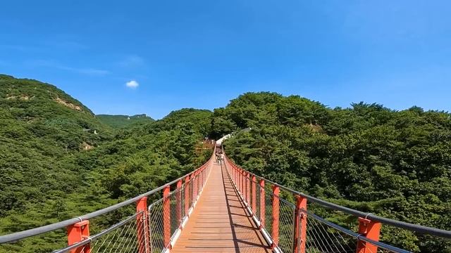 ?2층버스타고 구경가는 전국 최초의 150m 산악 구조물!! | ?교통카드 찍고 편안하게 다녀오세요 | ?쉽게 걸어갈 수 있는 당일치기 도보여행 코스 BEST 4 смотреть онлайн