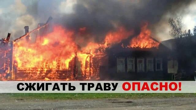 Сжигать траву опасно!