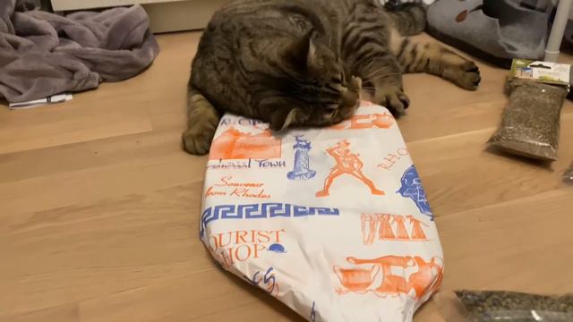 Таможенный контроль.. Подарок с Греции.. смотреть онлайн