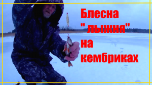 Блесна зимняя на кембриках. Видео отчет.