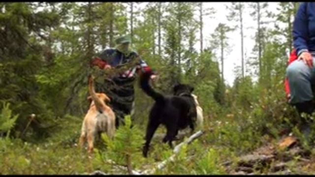 Четыре стороны света или поиск своего направления смотреть онлайн