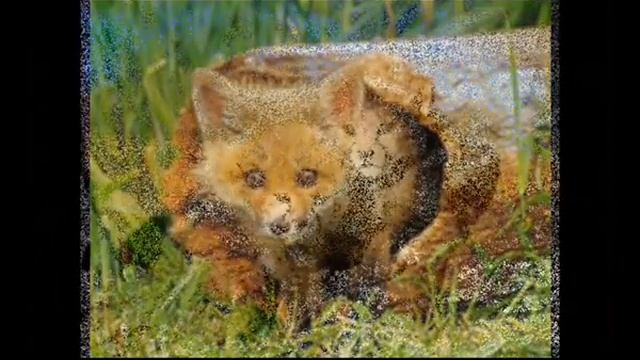 День защиты прав животных смотреть онлайн