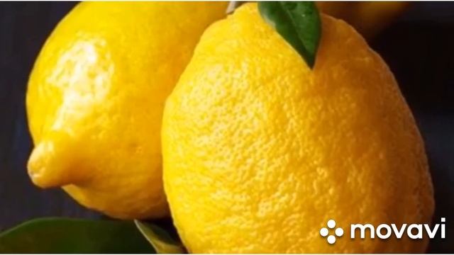 Игра - занятие "Знакомство со звуком Л- Л" смотреть онлайн