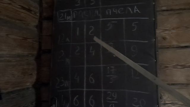 Этапы развития и расширение пчелосемей весной 27.04.23 смотреть онлайн