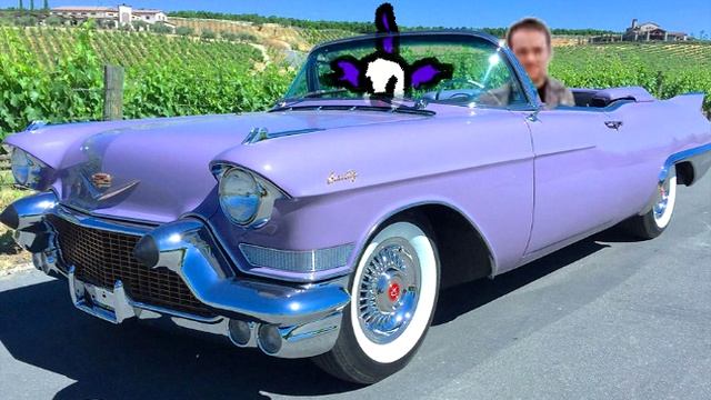 финский залив