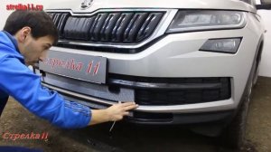Защита радиатора SKODA KODIAQ 2016-н.в. (Хром) - strelka11.ru