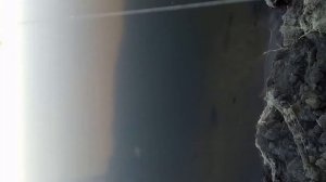 Ловля чехони ерик Кирпичный Астраханская область июнь 2017