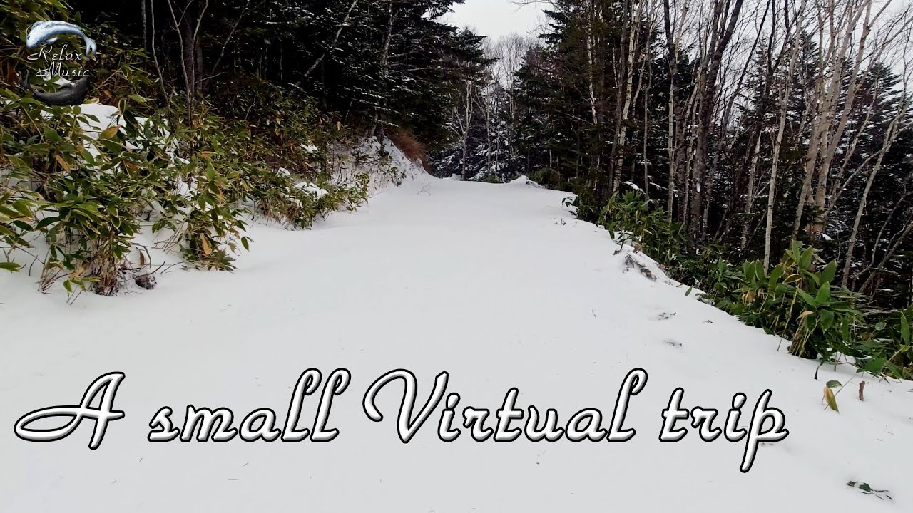 Snowfall музыка. Текст для медитации прогулка по лесу. Snowfall Music.