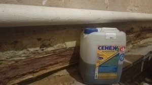 что нужно знать чтобы обработать дерево от гниения и паразитов