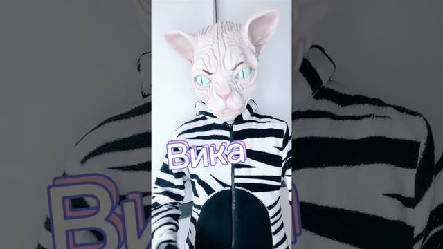 Лысая Кошка Сфинкс тренд Tik Tok