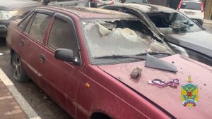 Подмосковные полицейские задержали подозреваемого в поджоге автомобиля