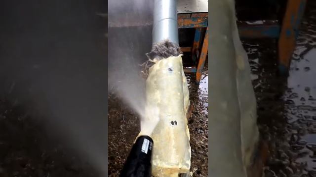 Выделка шкуры лисы Кёрхером смотреть онлайн