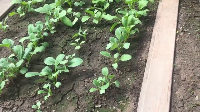 Дело было не в бабине смотреть онлайн