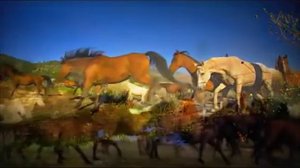 ТАБУН *Очень сильная песня !!! По-настоящему красивый клип*