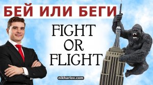 ? Бей или Беги - Fight or Flight. Что такое состояние побитой реактивной обезьяны в стрессе