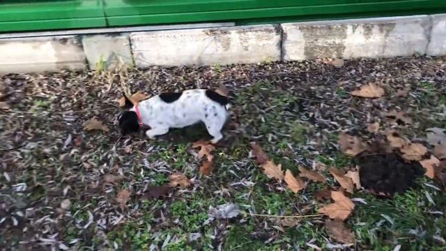 Если убрать камни, ручей перестанет журчать !!! смотреть онлайн