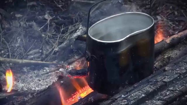 Сюжет про курс Наука Выживать на канале Наука 2.0