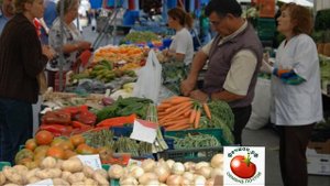 Как правильно сажать лук Советы начинающему огороднику