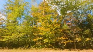 4K Autumn Scenic Roads of New Hampshire in Slow Motion - Fall Foliage of New England - Left Side, #