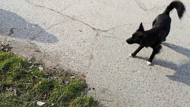 ВЕСНА смотреть онлайн