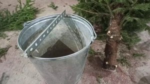 как установить ёлку чтобы не осыпалась