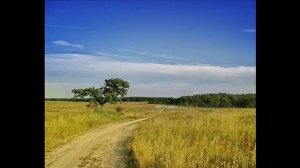 "И цветы, и шмели, и трава, и колосья... " - стихи Ивана Бунина