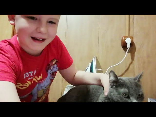 ТУПО СИДИМ ПЕРЕД КАМЕРОЙ с Мусей ! смотреть онлайн