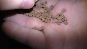 Натуральный грунт Tetra для водных растений ActiveSubstrate