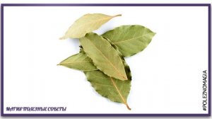 Что творит лавровый лист.Лавровый лист для денег..