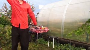 Танцуем и поём - "НЕ ЖЕНЮСЬ Я, НЕ ЖЕНЮСЬ"