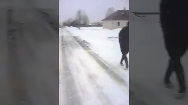 Бухой пацан танцует под песню zippo смотреть онлайн