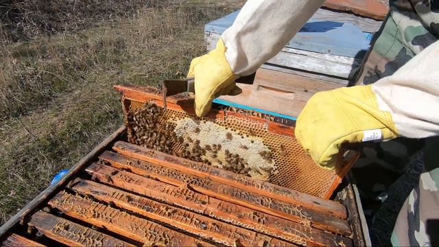 КРЫМ. СВОЯ ПАСЕКА. ПЧЕЛОВОДСТВО В КРЫМУ. СУДАК 2020 смотреть онлайн