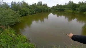 Tanago fishing russian edition | Рыбалка на Танаго в деревенском пруду