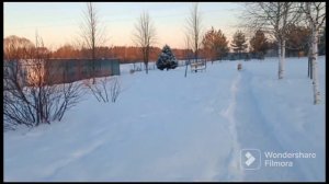 Акитомания!😱Мороз - 30!😱Как акиты переносят мороз?#акитомания #щенки #американскаяакита #продажа